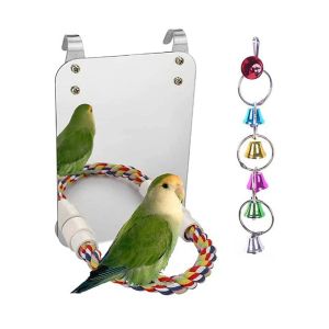 Jouets jouet de jeu interactif en bois avec perchoir pour petits perroquets, perruches, calopsittes, conures, accessoires de cage pour oiseaux inséparables