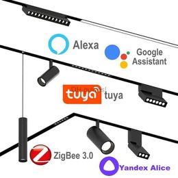 Luces de riel Zigbee Tuya Smart Home Luz de riel LED magnética Regulable 2MQTT Alice Assistant Alexa 48V Lámparas de techo Lámpara de punto de riel YQ240124
