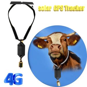 Trackers 4G Tracker GPS de vache animale avec énergie solaire localisateur de moutons de chevaux de bétail dispositif de suivi GPS anti-perte pour traqueur de bétail de chameau