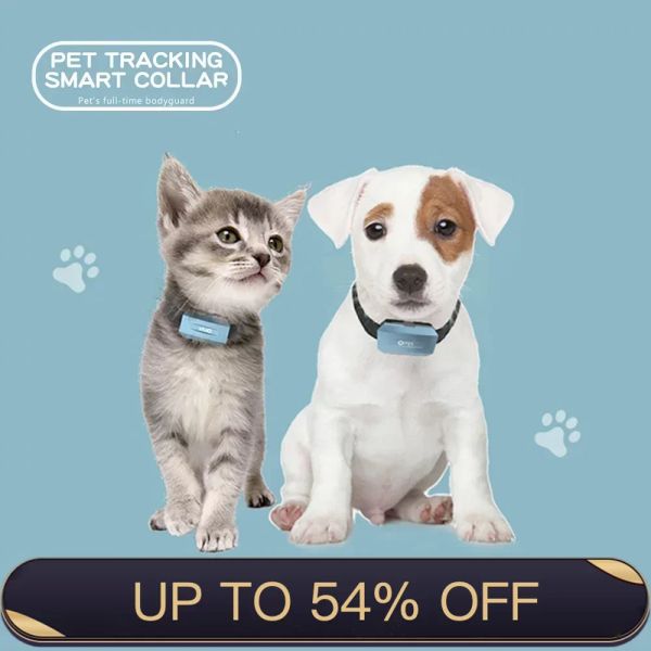 Trackers Nouveaux arrivateurs de dispositif de suivi en temps réel Locator 4G Mini Pet Dog GPS Collar Tracker avec application OMNI