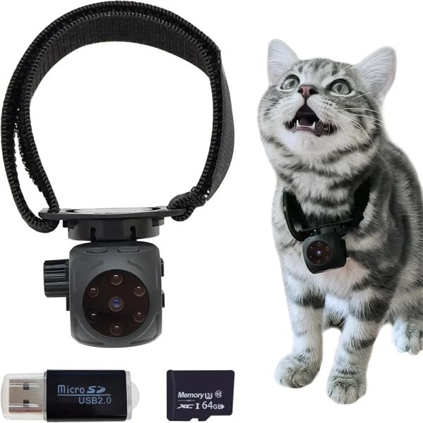 Caméra de collier pour animaux de compagnie Trackers Pas de Wifi requis Mini caméra de nounou cachée avec carte SD audio/vidéo Caméra de collier de chat à vision nocturne infrarouge