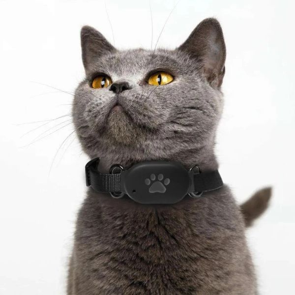 Trackers PET GPS Suivit Locator avec Collar GeoFence SOS Alarm App Control Cat Dog BDSOST BDS / LBS / WIFI Intelligent 2G Signal Device