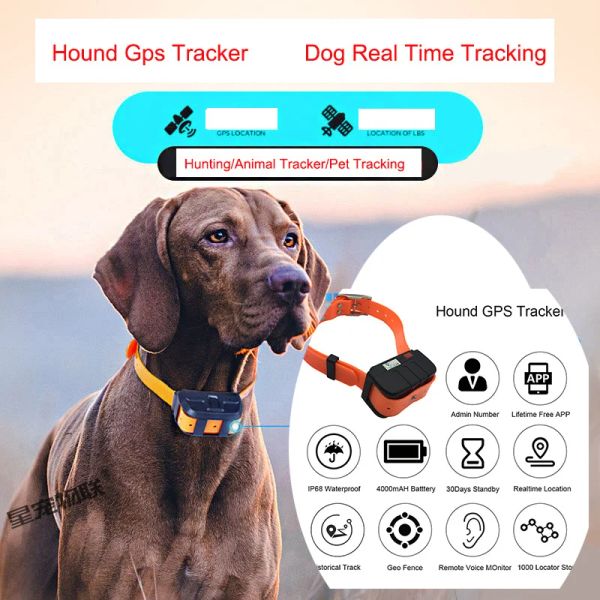 Rastreadores de mascotas Collar Gps para perros Tractive Gps Seguimiento de animales en tiempo real IP67 Localizador de perros impermeable para perros medianos y grandes