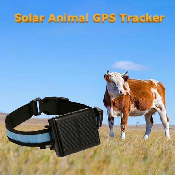 Rastreadores Solar Animal GPS Tracker Antiremoval Alarma Portátil WiFi GPS Localizador Impermeable Antipérdida Rastreador para Vaca Ganado Ovejas Caballos