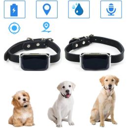Trackers Wireless Pet Smart GPS Tracker Mini Antilost Imperproof Ip67 Bluetooth Locator Pet Dog Cat Kids Char Alarm Tag Child Finder