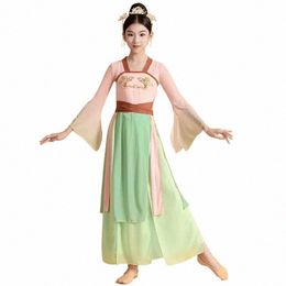 Trajes de danza clásica popular china tradicional Ropa Hanfu para niñas Ropa de práctica elegante antigua Traje de danza Guzheng 51cV #