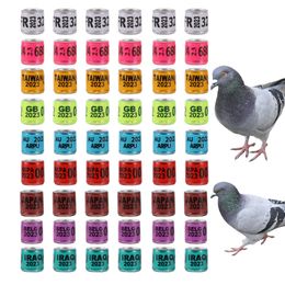 Formation 500pcs Anneau de jambe de pigeon 2023 Numéro Anneau de pied de haute qualité Piggeon durable Traine d'entraînement Anif de marquage pour animaux