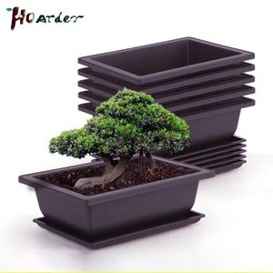 Pots d'entraînement avec plateau Plasai Bonsai Plants Pot Square for Flower Succulent Plastic Plant Pots avec plateaux carrés Planteur 240409