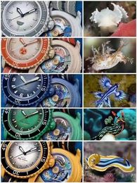 Reloj con fondo transparente Reloj para hombre Biocerámica Relojes de cuarzo automáticos Cinco océanos Función completa Pacífico Antártico Indio Cinco océanos Relojes con movimiento