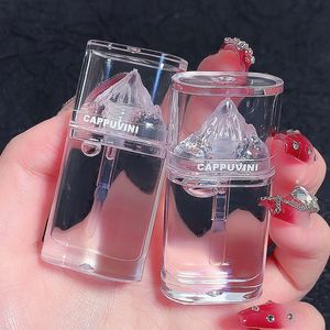 Transparante ijsbergwaterliptintvlek Getinte lipgloss Glazen lippenolie Voedzame vochtinbrengende make-up in bulk