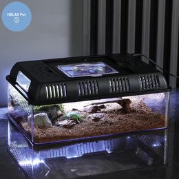 Transparant LED -licht Reptiel Dierinsect Pet Cage Ademende Voeding draagbare lampdoos Frog Snake Turtle Lizard Silkworm 240506