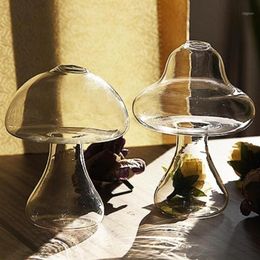 Vase en verre transparent en forme de champignon belle plante hydroponique artisanat créatif décor pour bureau à domicile salon Vases5744444288F