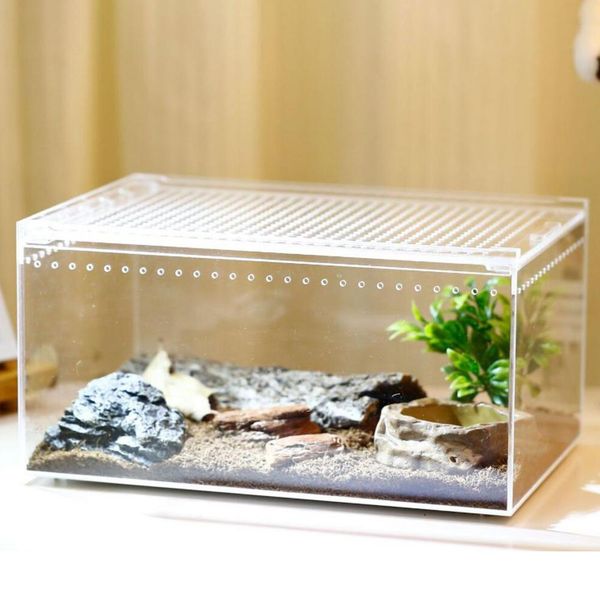 Caja de reptiles de reptiles transparentes Tipo de cubierta deslizante acrílica Caja de alimentación de reptil de reptil insecto Insectos de lagarto Caja de alimentación del terrario