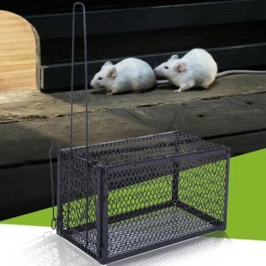 Pièges 1pc souris rat Contrat Catch appât cage