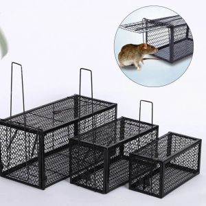 Pièges Animal Control Rat Cage Pout Rat Implémentation