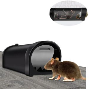 Pièges Piège à souris humanisé, capture et libération du piège à souris/rongeur, sans danger pour les animaux domestiques (chien/chat), meilleure cage à rats intérieure/extérieure