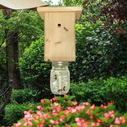 Vangt houten timmerman bijenval gele honing bijenval houten vliegende insectenbescherming