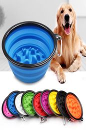 Bol d'alimentation pliable de voyage pour chien et chat, gamelle pour ingestion lente, bol d'eau pour animaux de compagnie, bol d'étranglement pliable avec crochet, bol de nourriture lente 6452434