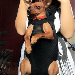 QET CARRIER – sac de poitrine de voyage pour chien et chien, sacs à poignée d'épaule, respirant, produits d'extérieur pour chat, sac à dos Portable en maille 250k