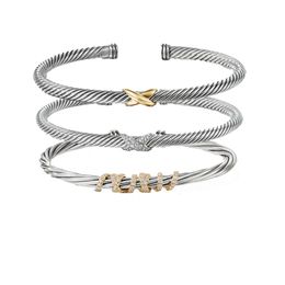 Trend armband sieraden gouden charme ontwerper dames platina twisted draad armbanden hot verkopende sieraden bangle