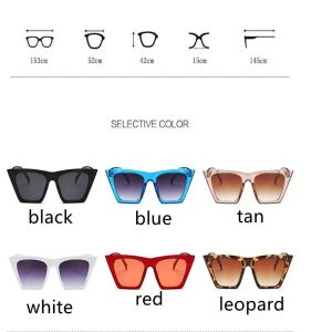 Lunettes de soleil à l'œil de chat à la mode pour femmes Unisexe Retro Square Frame des lunettes surdimension