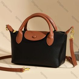 Niche tendance Longxiang sac 2023 motif en cuir souple couleur assortie petit sac à ailes polyvalent portable simple épaule diagonale croix sac pour femme
