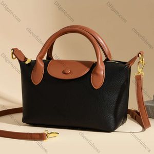 Bolso de nicho Longxiang de moda 2023 Patrón de cuero suave Bolso de ala pequeña a juego Bolso de mano versátil con un solo hombro Bolso cruzado diagonal para mujer