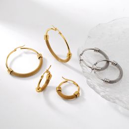 Trendy Twist Earring Design sieraden Hoop oorrang roestvrij staal 316 roestvrijstalen sieraden
