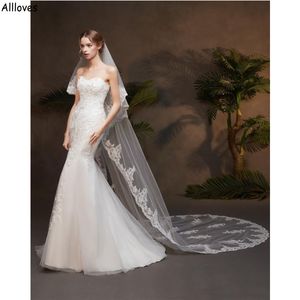 Trendy Twee lagen Appliqued Lace Bridal Veils White Ivory Tule Chapel Train Long Wedding Veil voor bruid haaraccessoires CL2292