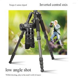 TRIPODS Triopo 67 "Carbon Fiber Camera Tripod met professionele monopod en 360 graden balhoofd voor DSLR -camera's