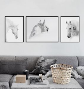 Triptych Modern White Horse Head Po A4 Poster Impression Animaux Mur Image Nordic Home Decor Canvas PEINTURE sans cadre Gift6936230