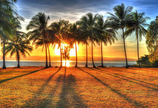 Tropical Australie Cairns Palm Cove Beach Photo Art Picture Impression Affiche de la soie DÉCOR MUR DE MAISON HOME