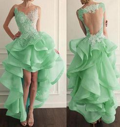 TULLE ORGANZA SEER JUWEL HALNLINE HILO ALINE PROM -jurken met kanten appliques gegolfde organza avondjurken illusie terug 8488956