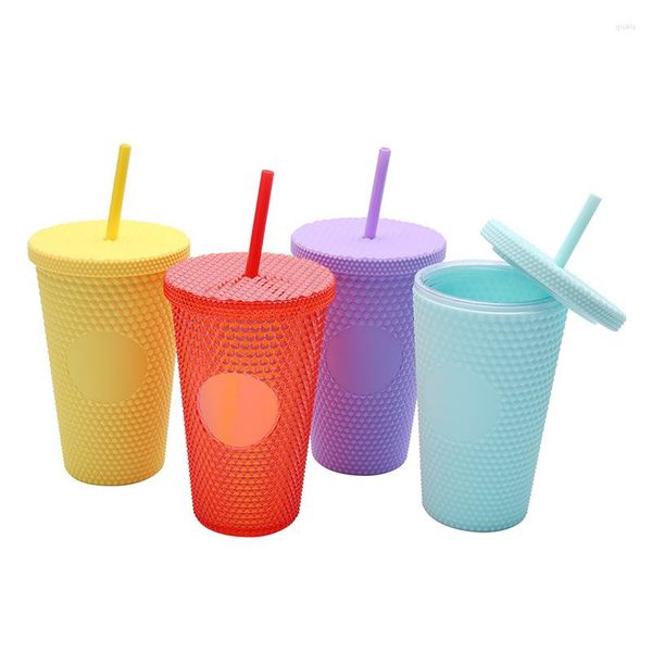 Gobelets 16oz Coloré Acrylique Skinny Drinkware Double paroi Bouteille d'eau avec paille réutilisable Sippy Cup Pailles Couvercles