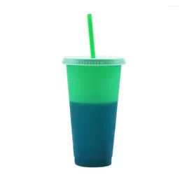 Gobelets Bouteille d'eau pratique avec couvercle paille couleur changeante sans odeur grande capacité tasse de décoloration détection de température