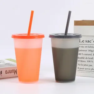 Gobelets assez durables avec paille ajoutant de la vitalité, tasse de boisson décolorée pour gobelet d'eau domestique