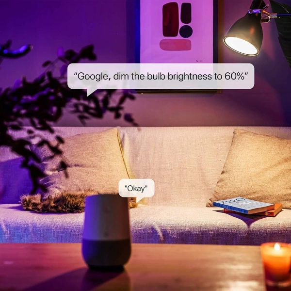 Tuya 15W 18W WiFi Smart Light Bulb E27 RVB LED lampe intelligente Dimmable White White Night lamp Google Home Alexa Contrôle vocal