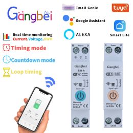 Tuya GBDQA 63A 1P + N WiFi Interrupteur intelligent Coungeur KWH Montage du circuit de surveillance MCB Disté télécommande Breaker