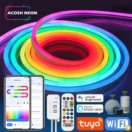 Tira de luz de neón LED Tuya Smart Life, tira LED de 12V, cinta decorativa de señal de neón RGB, Gel de sílice para hogar Alexa y Google Home con Clips