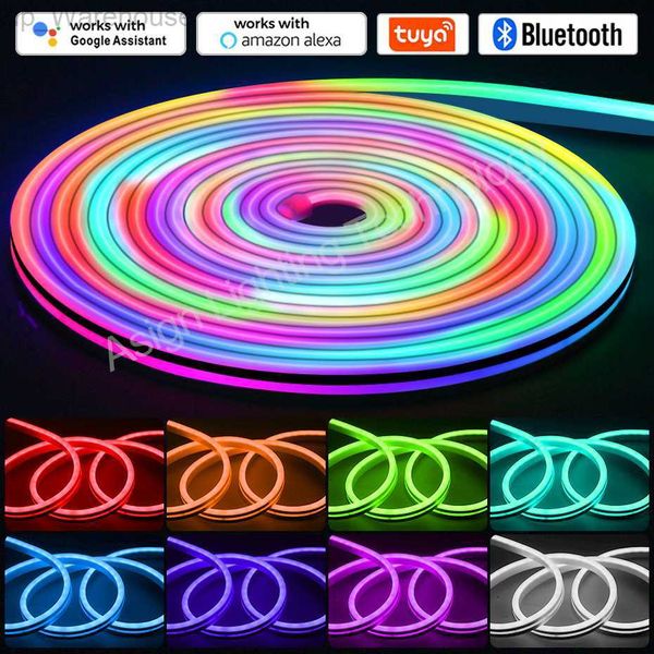 Tuya WiFi LED Luz de tira de neón 12V RGBIC Tira de LED flexible suave RGB Cinta de persecución regulable IP67 Control remoto impermeable Bluetooth HKD230825