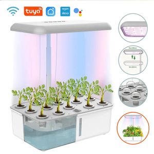 Tuya WiFi Plant Hydrocultuur Systeem Groeiend LED-licht Grondloze slimme plantmachine Zelf water gevende binnentuin Plantenbak 240318