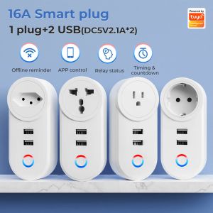 Tuya wifi smart 16a PORTING PLIG OUTLET EU US AU UK Br Socket USB Time Control par SmartLife App Alexa Google Home