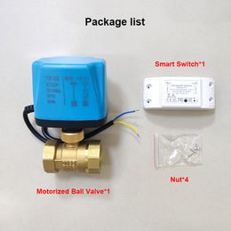 Tuya WiFi Smart Electric Ball Valve de cuivres Switch Smart Life Control Control Support Alexa Google Home Motoralized Water Valve 220V