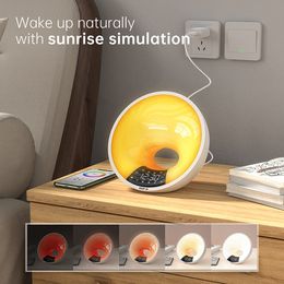 Tuya wifi smart wake up light rgb digital alarm wlock sunrise Sunset horloge fm radio fonctionne avec une application de vie intelligente alexa google home