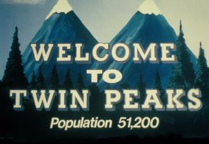 Twin Peaks 1990 Vintage Movie Art Gifts Print Silk Poster018132488