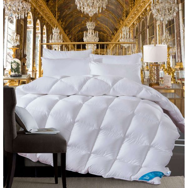 Parure de lit 100% coton en duvet de canard d'oie, ensemble de lit double, Queen, King, blanc, rose, café, couverture épaisse et chaude