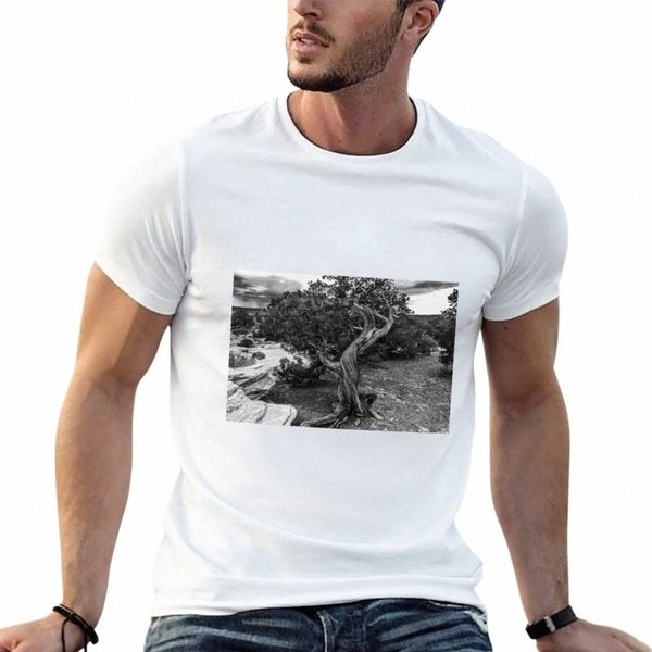 Twisted Wood in the Canylands T-Shirt chemises t-shirts graphiques plaine fans de sport drôles t-shirts noirs pour hommes 02y3 #