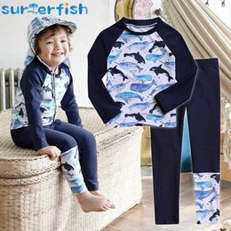 Tweedelige twee-stuks 2pc jongens Dophins zwempak Twee stuk oud zwempak droog strand hoed baby zwempak cartoon split Rush beschermend zwempak h240508