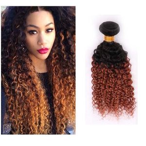 Two Tone Ombre Peruvian Virgin Hair Extensions 1B/30# Ombre Brown Blonde Peruvian Kinky Curly Human Hair Weave 3 Bundles