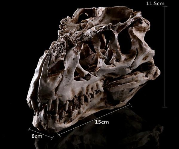 Tyrannosaure dinosaure résine crâne modèle enseignement spécimen art résine animal squelette halloween cadeau d'anniversaire fête décoration de la maison art 3288996